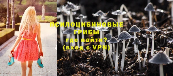 СК Армянск