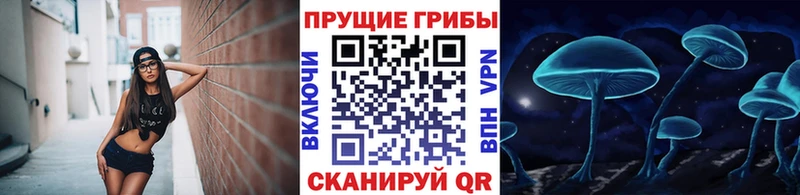Псилоцибиновые грибы ЛСД  купить наркотики сайты  blacksprut tor  Харовск 